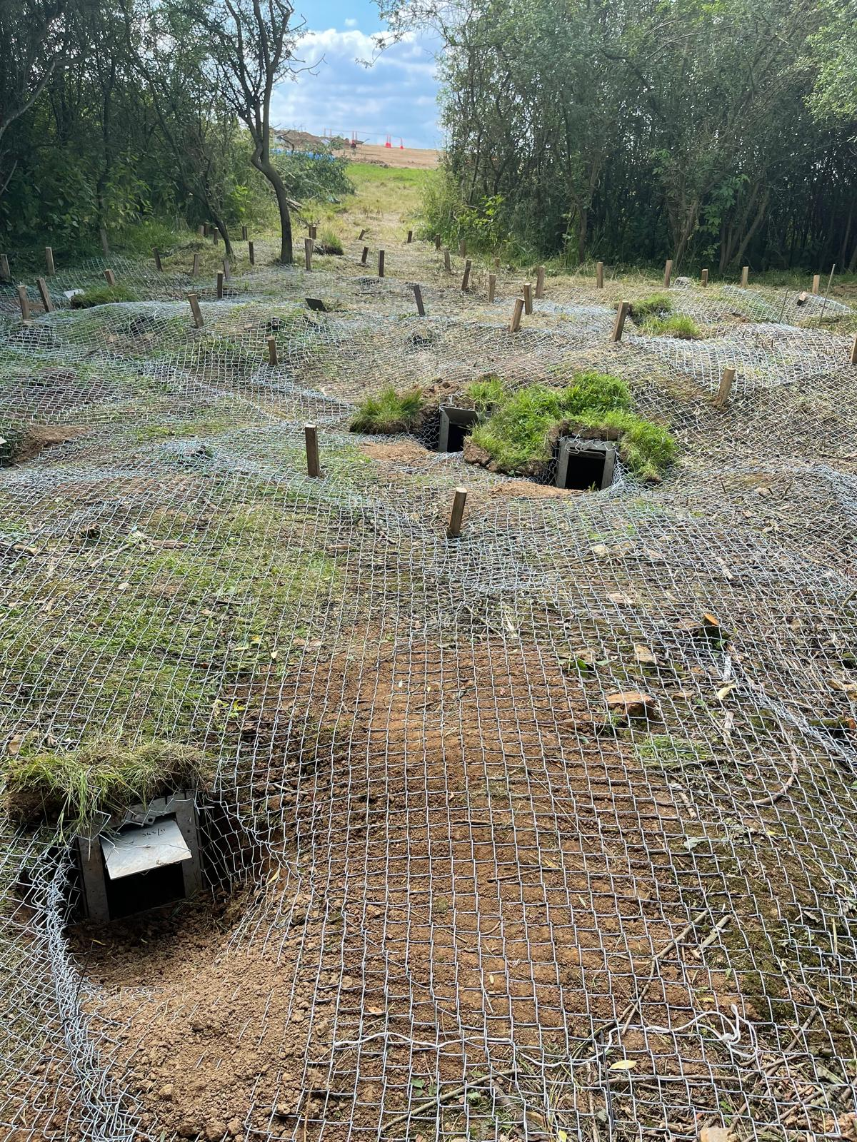 badger exclusion